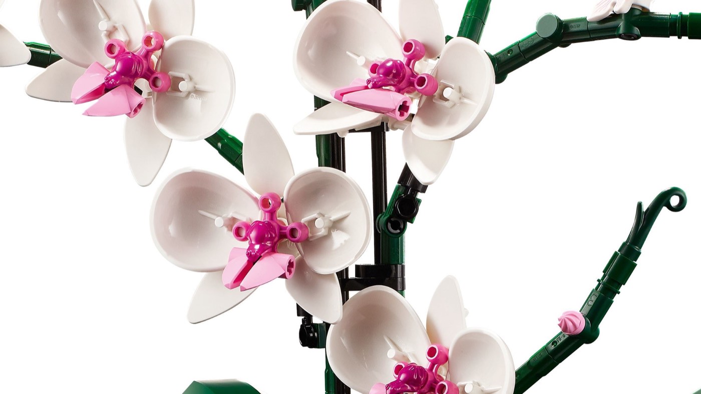 Close view of four LEGO Orchid 10311 blooms, white petals around magenta and pink centre elements on dark green stems